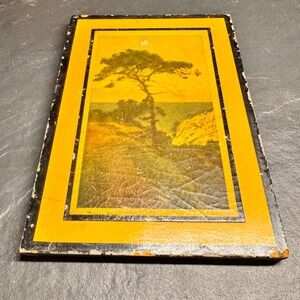 MCM Vintage Torrey Pine California Scenic Photo Art Print‎ Yellow Border